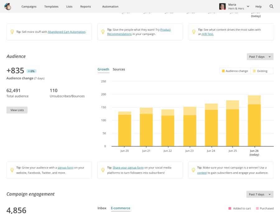 mailchimp audience cleaned